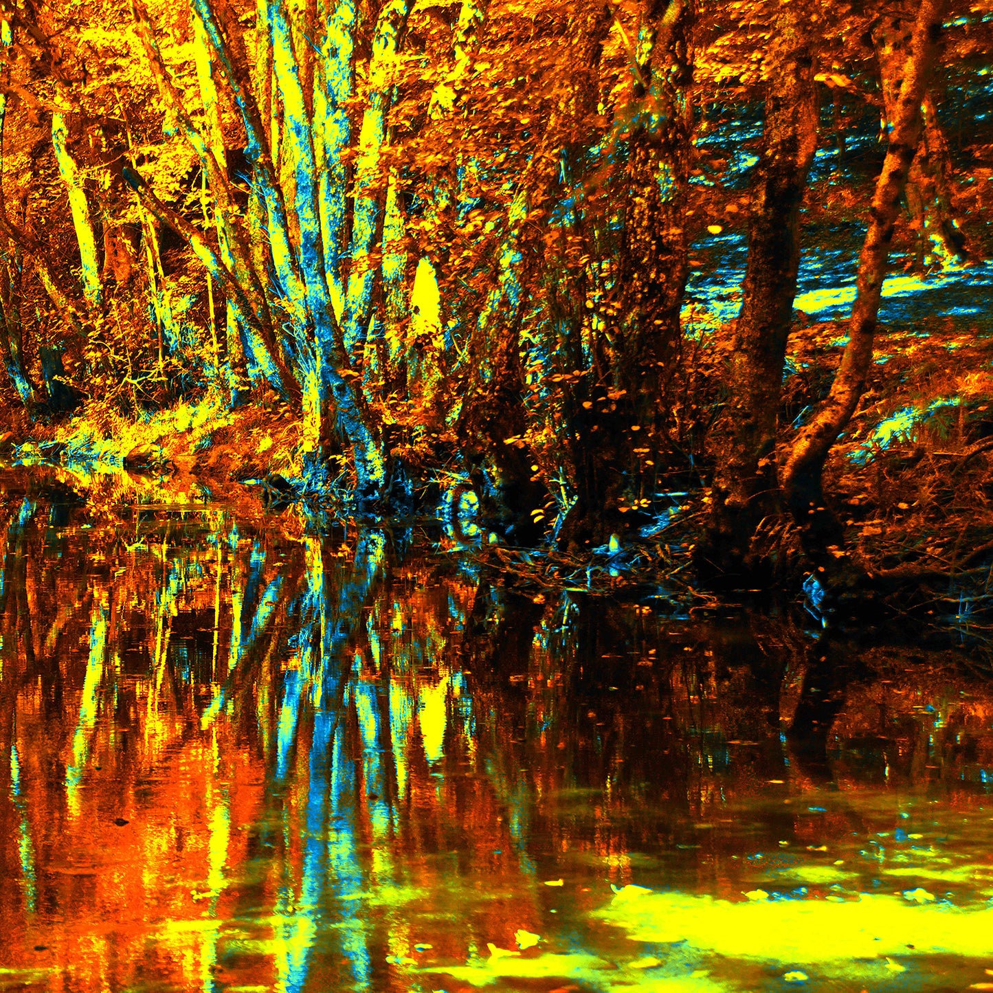 Riflessi 3