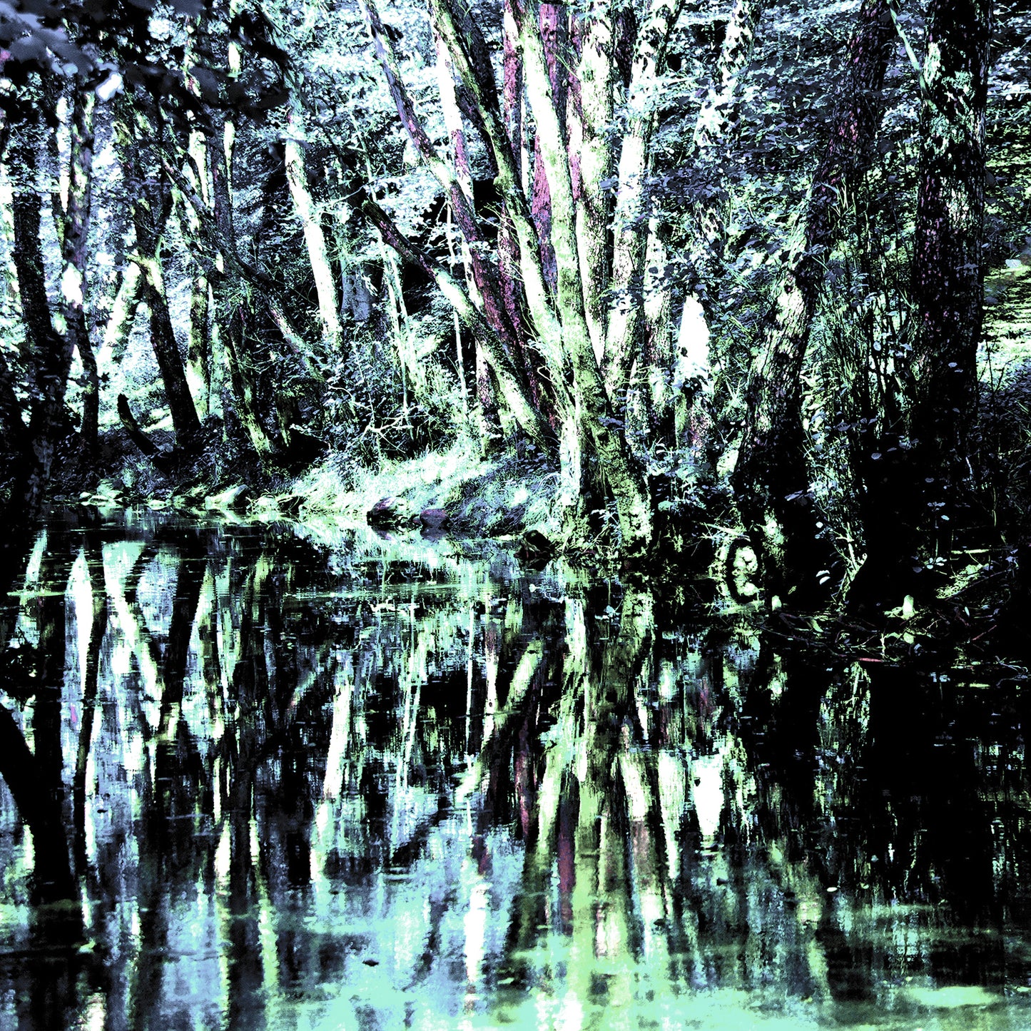 Reflections 7