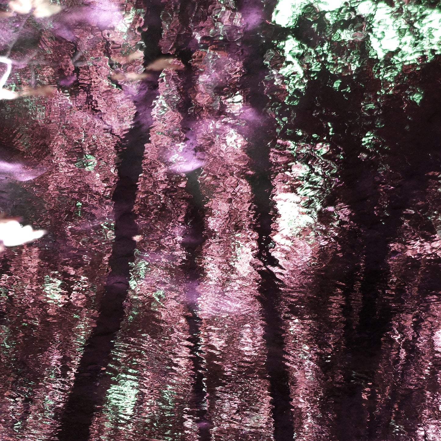 Riflessi 2