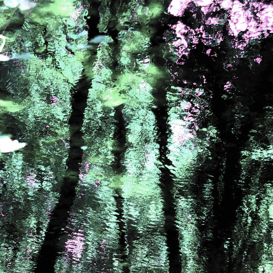 Reflections